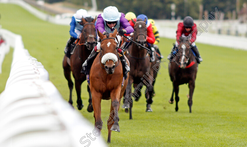 Quickstep-Lady-0004 
 QUICKSTEP LADY (Oisin Murphy) wins The Ladbrokes Giving Extra Places Every Day Novice Stakes
Goodwood 28 Aug 2020 - Pic Steven Cargill / Racingfotos.com