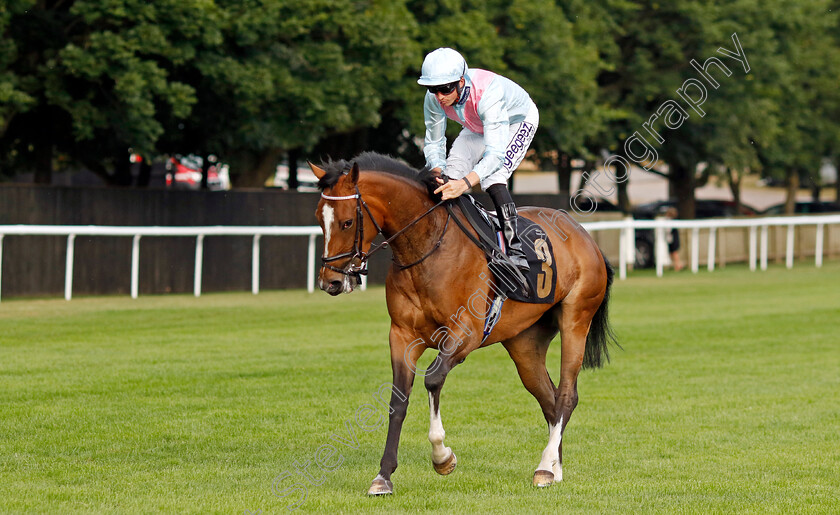 Just-A-Tad 
 JUST A TAD (David Probert)
Newmarket 29 Jul 2022 - Pic Steven Cargill / Racingfotos.com