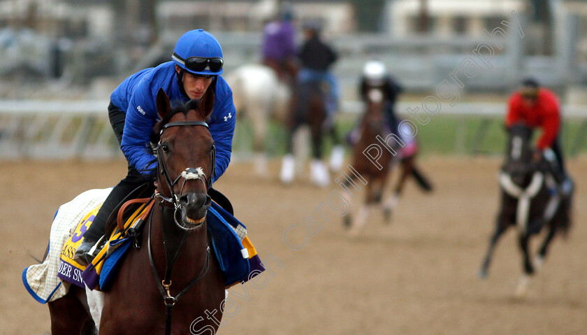 Thunder-Snow-0006 
 THUNDER SNOW exercising ahead of The Breeders' Cup Classic
Churchill Downs USA 30 Oct 2018 - Pic Steven Cargill / Racingfotos.com