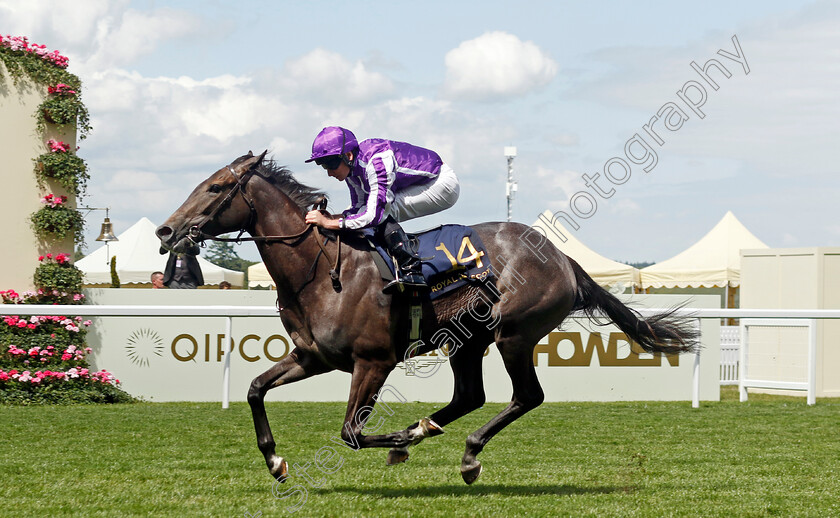 Bedtime-Story-0002 
 BEDTIME STORY (Ryan Moore) wins The Chesham Stakes
Royal Ascot 22 Jun 2024 - Pic Steven Cargill / Racingfotos.com