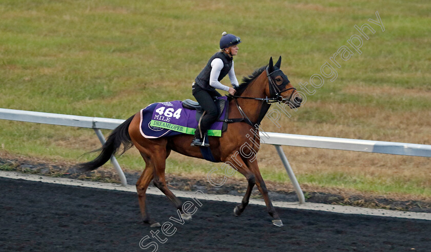 Dreamloper-0003 
 DREAMLOPER training for the Breeders' Cup Mile
Keeneland USA 1 Nov 2022 - Pic Steven Cargill / Racingfotos.com