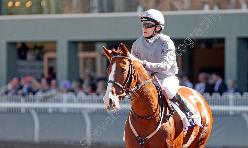 Band-Practice-0002 
 BAND PRACTICE (Jamie Spencer)
Santa Anita 1 Nov 2019 - Pic Steven Cargill / Racingfotos.com