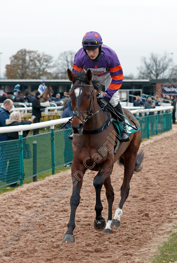 Betty-Getaway 
 BETTY GETAWAY (Tristan Durrell)
Warwick 9 Dec 2021 - Pic Steven Cargill / Racingfotos.com