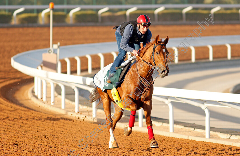 Sealiway-0004 
 SEALIWAY training for The Saudi Cup
King Abdulaziz Racetrack, Riyadh, Saudi Arabia 22 Feb 2022 - Pic Steven Cargill / Racingfotos.com