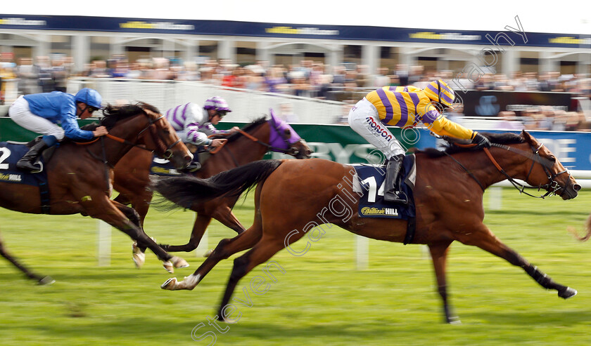 Cliffs-Of-Dover-0001 
 CLIFFS OF DOVER (Megan Nicholls) 
Doncaster 14 Sep 2018 - Pic Steven Cargill / Racingfotos.com