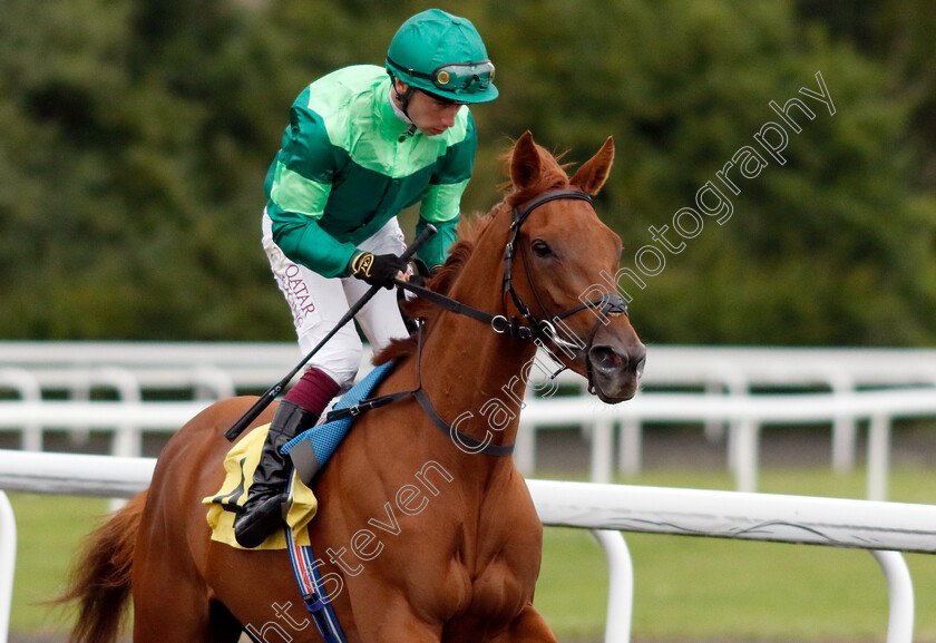 Birkin-0001 
 BIRKIN (Oisin Murphy)
Kempton 7 Aug 2024 - Pic Steven Cargill / Racingfotos.com