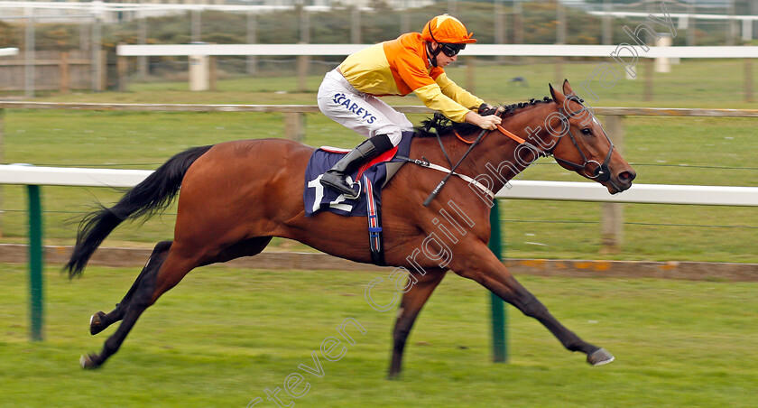 Four-Kingdoms-0002 
 FOUR KINGDOMS (Joey Haynes) wins The Optimist Design Ltd Handicap Yarmouth 16 Oct 2017 - Pic Steven Cargill / Racingfotos.com