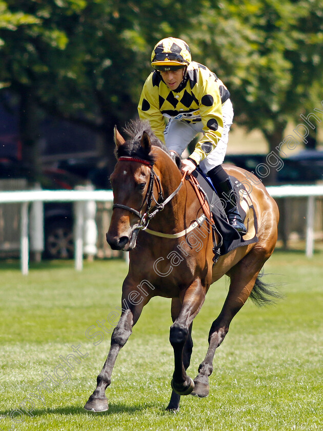 Silken-Petals 
 SILKEN PETALS (Ben Curtis)
Newmarket 9 Jul 2022 - Pic Steven Cargill / Racingfotos.com