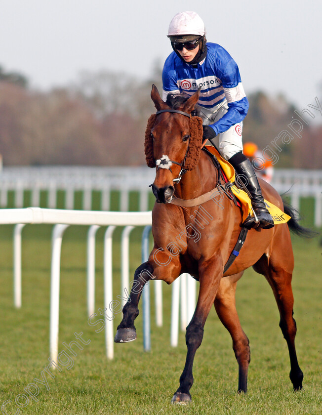 Cyrname-0003 
 CYRNAME (Harry Cobden)
Ascot 20 Feb 2021 - Pic Steven Cargill / Racingfotos.com