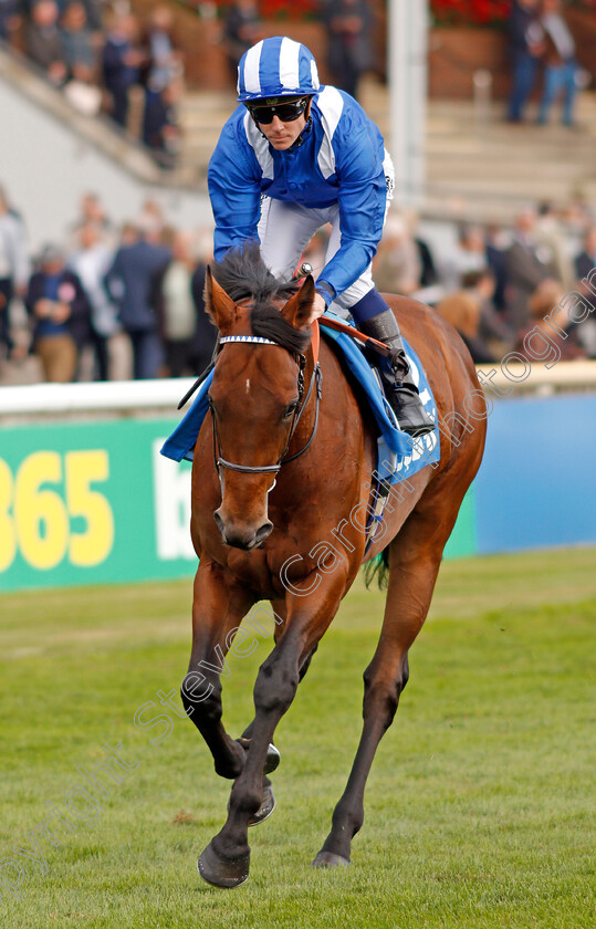 Massaat-0001 
 MASSAAT (Jim Crowley) Newmarket 13 Oct 2017 - Pic Steven Cargill / Racingfotos.com