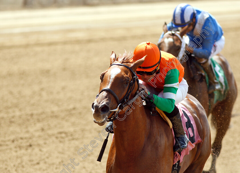 Cosita-Mia-0004 
 COSITA MIA (Joel Rosario) wins Maiden Special Weight
Belmont Park 7 Jun 2018 - Pic Steven Cargill / Racingfotos.com