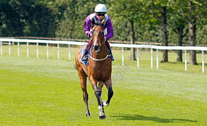 Resilience-0001 
 RESILIENCE (Rob Hornby)
Salisbury 11 Aug 2021 - Pic Steven Cargill / Racingfotos.com