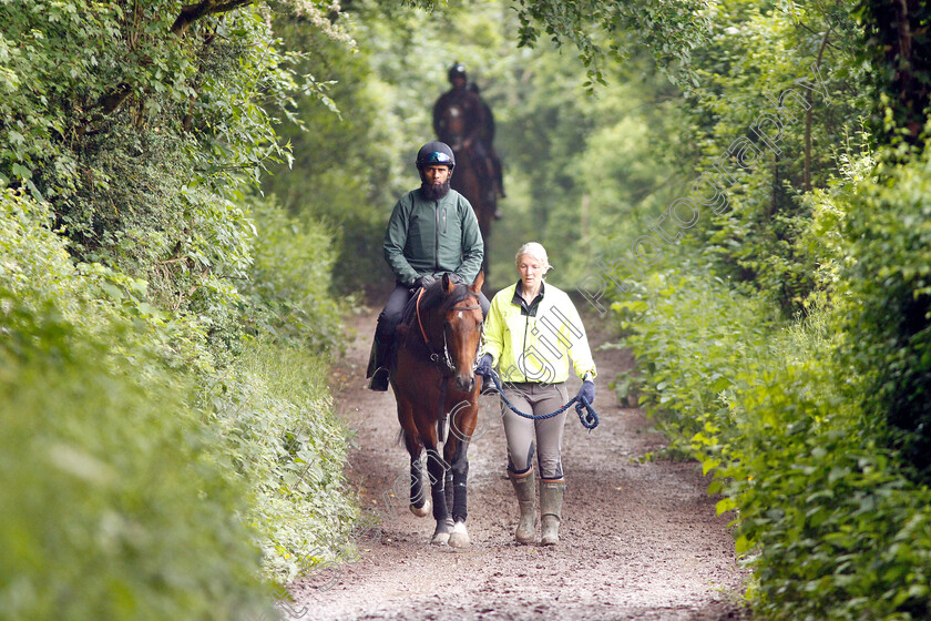 Knight-To-Behold-0013 
 KNIGHT TO BEHOLD, ridden by Mohammed Abdul Qazafi Mirza, walking home from the gallops with Christina Dunlop in preparation for The Investec Derby
Lambourn 31 May 2018 - Pic Steven Cargill / Racingfotos.com