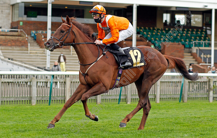 Temple-Lock-0001 
 TEMPLE LOCK (Charles Bishop)
Newmarket 30 Oct 2020 - Pic Steven Cargill / Racingfotos.com