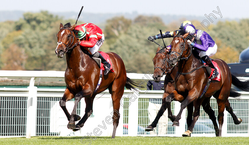 Flying-Dragon-0006 
 FLYING DRAGON (Tom Marquand) beats DAMON RUNYON (right) in The Smarkets EBF Novice Stakes
Sandown 19 Sep 2018 - Pic Steven Cargill / Racingfotos.com