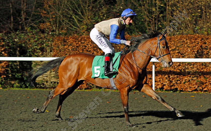 Mayer-0001 
 MAYER (Adam Kirby) Kempton 13 Dec 2017 - Pic Steven Cargill / Racingfotos.com