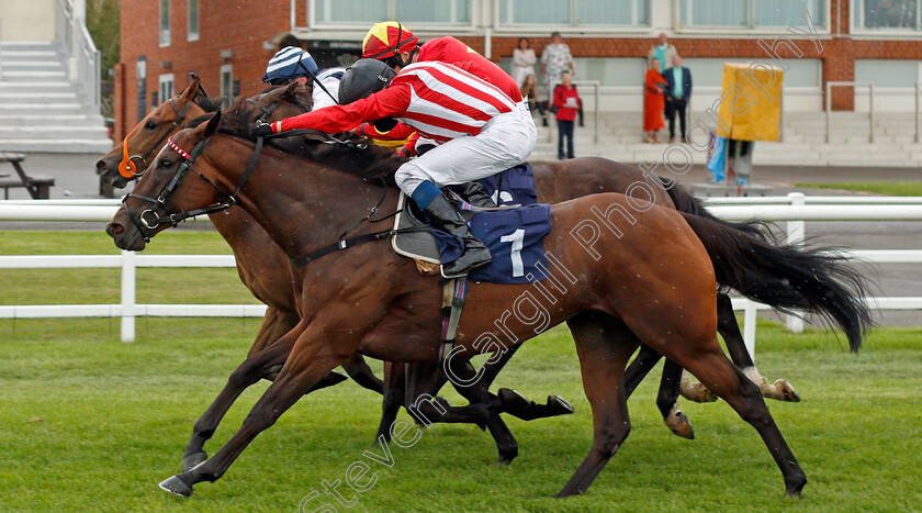 Redemptive-and-Mr-Millarcky-0005 
 REDEMPTIVE (nearside, William Buick) dead-heats with MR MILLARCKY (farside, Shane Kelly) in The Read ANdrew Balding On Betway Insider Handicap
Lingfield 2 Sep 2020 - Pic Steven Cargill / Racingfotos.com