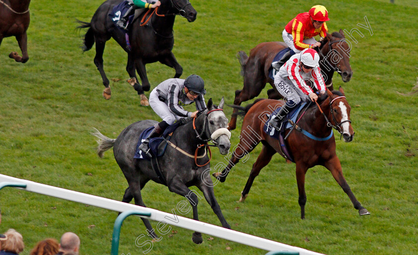 Our-Greta-0003 
 OUR GRETA (left, Ryan Tate) beats GABRIELLE (right) in The Grosvenor Casino Of Great Yarmouth Handicap Yarmouth 24 Oct 2017 - Pic Steven Cargill / Racingfotos.com