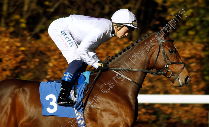 Newsreader-0001 
 NEWSREADER (Benoit de la Sayette)
Kempton 13 Dec 2023 - Pic Steven Cargill / Racingfotos.com