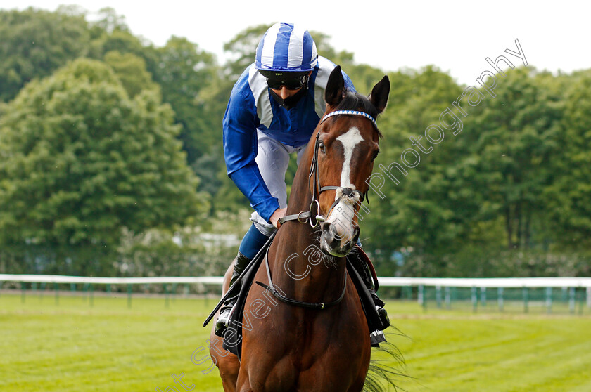 Motagally-0001 
 MOTAGALLY (William Buick)
Haydock 29 May 2021 - Pic Steven Cargill / Racingfotos.com