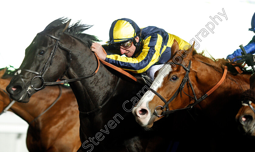 Come-On-Come-On-0004 
 COME ON COME ON (left, Adam Kirby) beats WARBURTON (right) in The Better Odds With Matchbook Novice Stakes Div2 Kempton 21 Mar 2018 - Pic Steven Cargill / Racingfotos.com