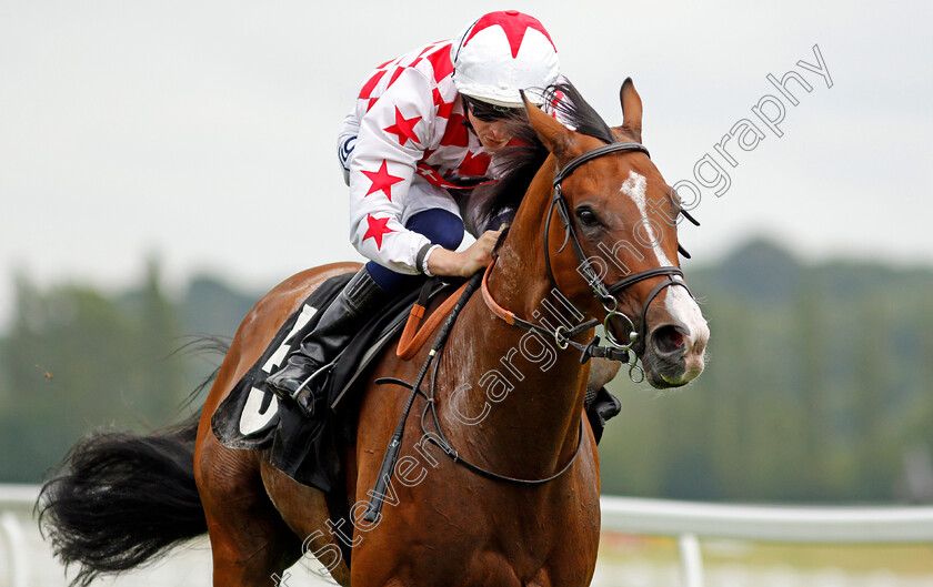 Spanish-Star-0005 
 SPANISH STAR (David Probert) wins The Download The BetVictor App Handicap
Newbury 13 Aug 2021 - Pic Steven Cargill / Racingfotos.com