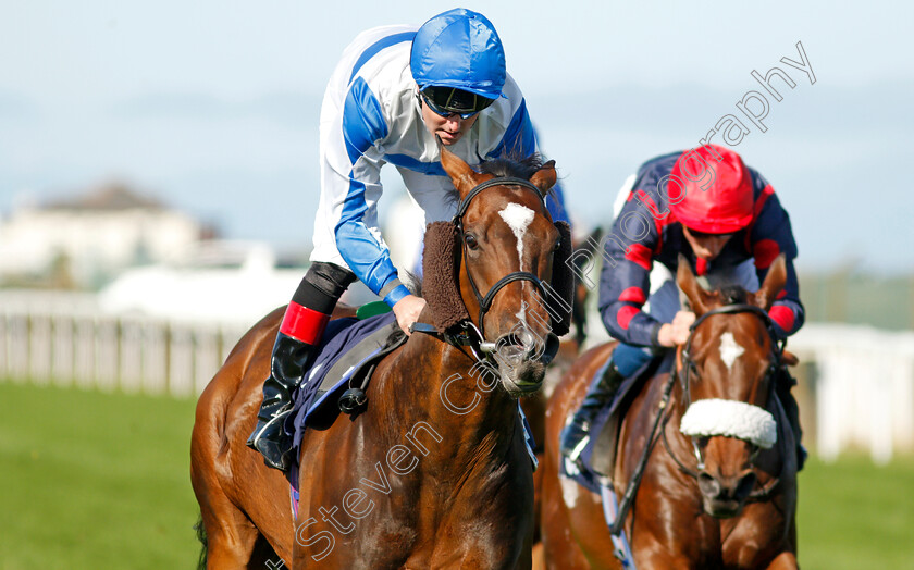 Ropey-Guest-0005 
 ROPEY GUEST (Tom Queally) wins The Sky Sports Racing Sky 415 Handicap
Yarmouth 15 Sep 2021 - Pic Steven Cargill / Racingfotos.com