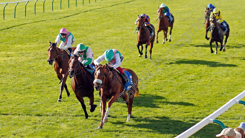 Chaldean-0001 
 CHALDEAN (Frankie Dettori) beats ROYAL SCOTSMAN (2nd left) and NOSTRUM (left) in The Darley Dewhurst Stakes
Newmarket 8 Oct 2022 - Pic Steven Cargill / Racingfotos.com