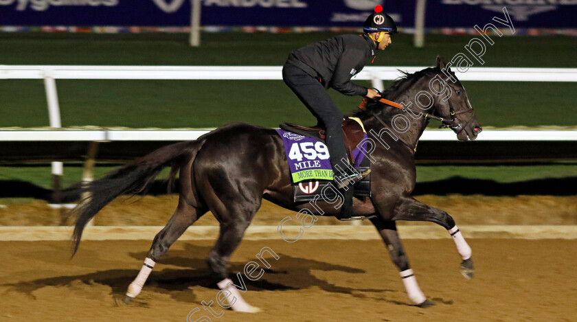 More-Than-Looks-0001 
 MORE THAN LOOKS training for the Breeders' Cup Mile
Del Mar USA 30 Oct 2024 - Pic Steven Cargill / Racingfotos.com