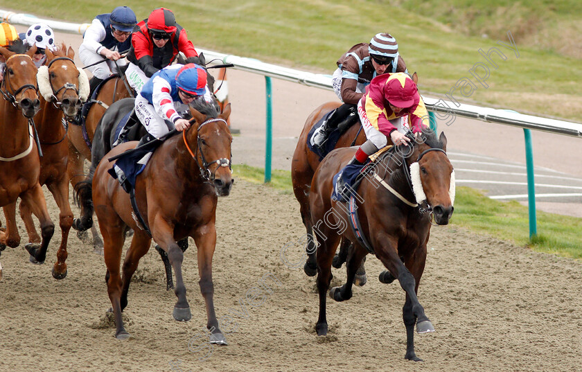 Executive-Force-0003 
 EXECUTIVE FORCE (right, Franny Norton) beats SHA LA LA LA LEE (left) in The Sun Racing No1 Racing Site Handicap
Lingfield 23 Mar 2019 - Pic Steven Cargill / Racingfotos.com