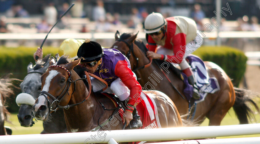 Call-To-Mind-0008 
 CALL TO MIND (Javier Castellano) wins The Belmont Gold Cup Invitational Stakes
Belmont Park 8 Jun 2018 - Pic Steven Cargill / Racingfotos.com