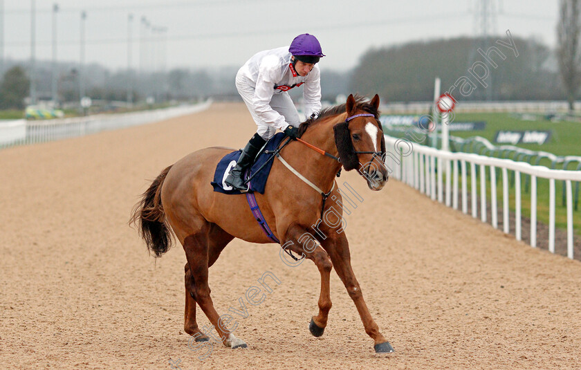 Stone-Soldier 
 STONE SOLDIER (Luke Morris)
Southwell 13 Feb 2022 - Pic Steven Cargill / Racingfotos.com