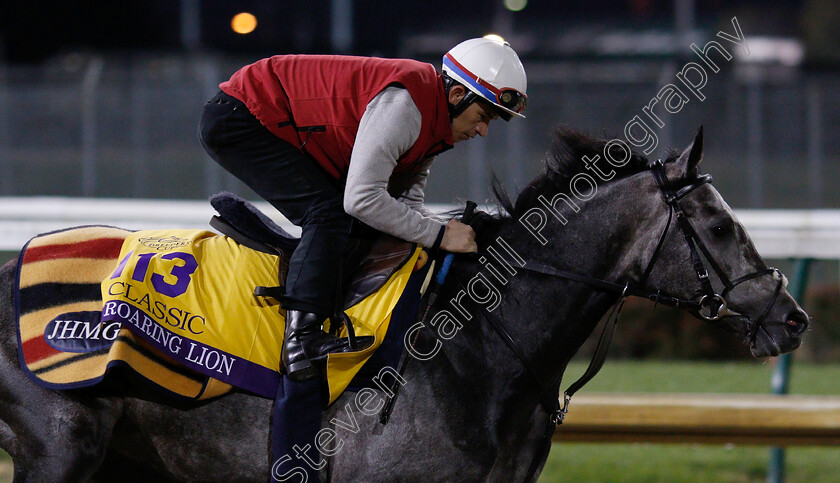 Roaring-Lion-0006 
 ROARING LION exercising ahead of The Breeders' Cup Classic
Churchill Downs USA 30 Oct 2018 - Pic Steven Cargill / Racingfotos.com