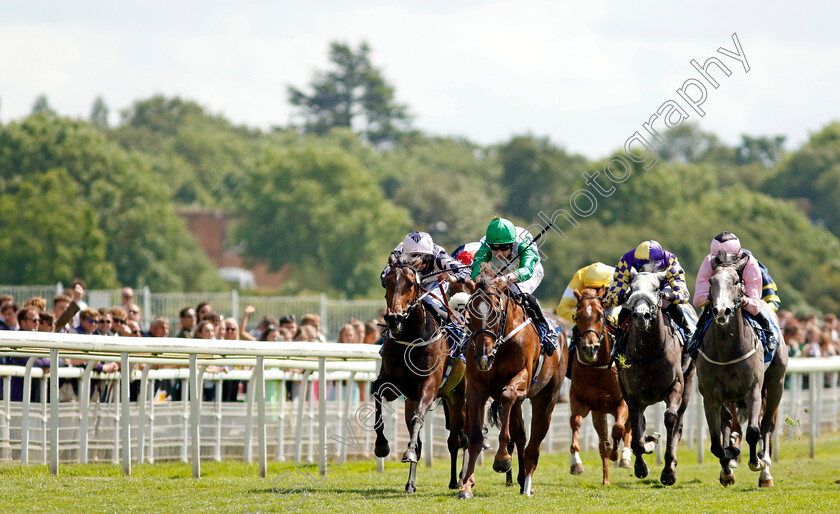 Tareekh-0001 
 TAREEKH (Jack Mitchell) wins The SKF Rous Selling Stakes
York 11 Jun 2021 - Pic Steven Cargill / Racingfotos.com