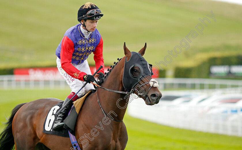 Tactical-0001 
 TACTICAL (Oisin Murphy)
Goodwood 29 Aug 2021 - Pic Steven Cargill / Racingfotos.com