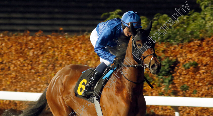 Majestic-Pride-0001 
 MAJESTIC PRIDE (William Buick)
Kempton 6 Dec 2023 - Pic Steven Cargill / Racingfotos.com