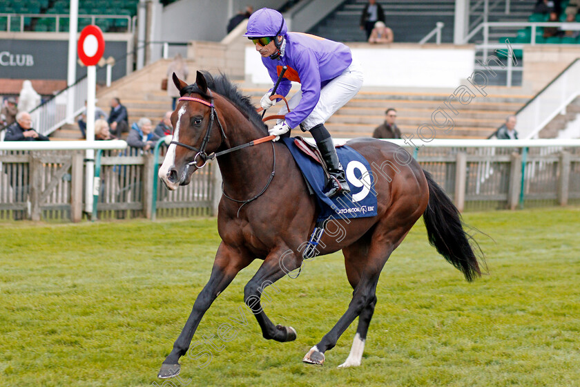 St-Just-0001 
 ST JUST (Gerald Mosse)
Newmarket 23 Oct 2019 - Pic Steven Cargill / Racingfotos.com