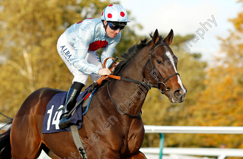 Villalobos 
 VILLALOBOS (Pat Cosgrave)
Lingfield 28 Oct 2021 - Pic Steven Cargill / Raingfotos.com