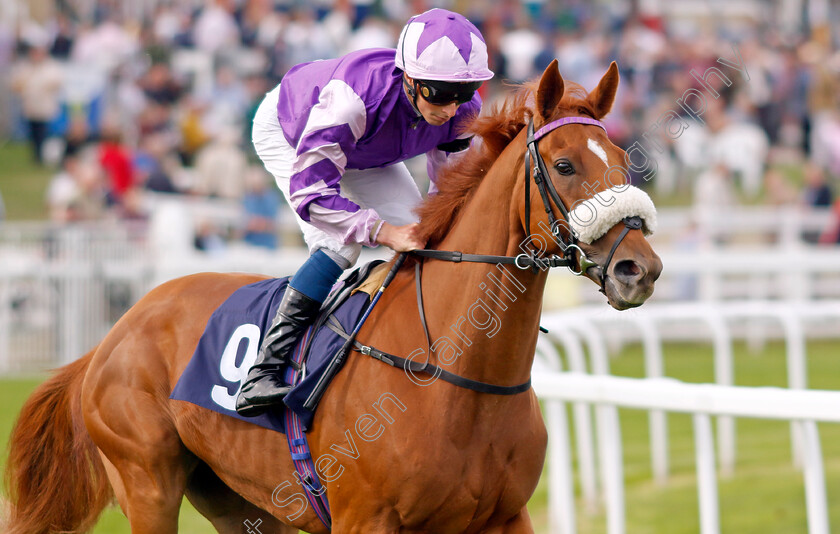 Land-Of-Eagles-0001 
 LAND OF EAGLES (William Buick)
Yarmouth 13 Sep 2022 - Pic Steven Cargill / Racingfotos.com