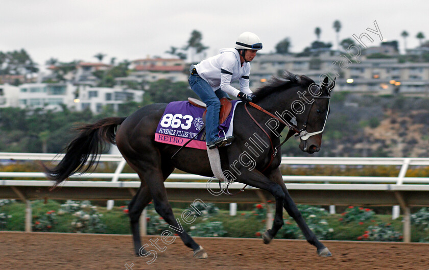 Retro-0001 
 RETRO exercising at Del Mar USA in preparation for The Breeders' Cup Juvenile Fillies Turf 30 Oct 2017 - Pic Steven Cargill / Racingfotos.com