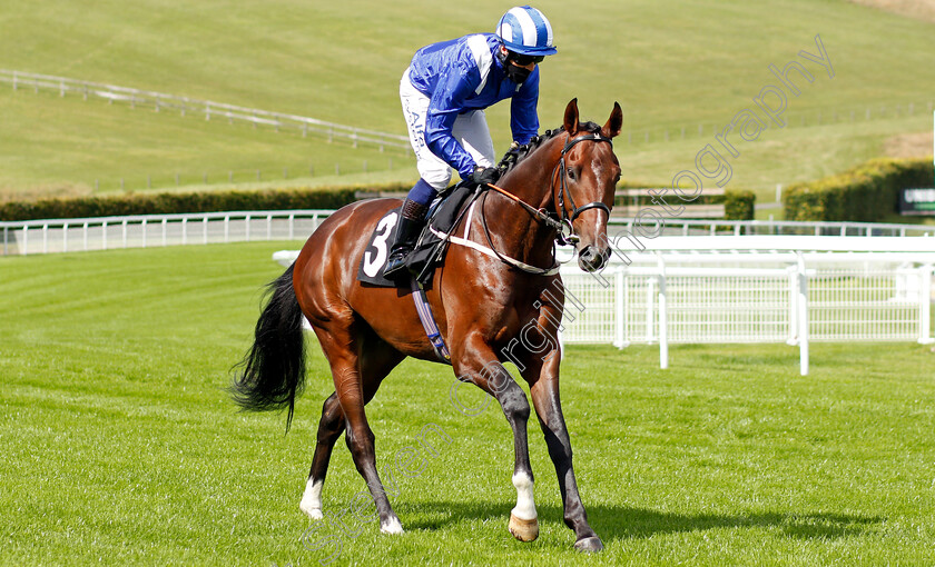 Sibaaq-0001 
 SIBAAQ (Jim Crowley)
Goodwood 28 Aug 2020 - Pic Steven Cargill / Racingfotos.com