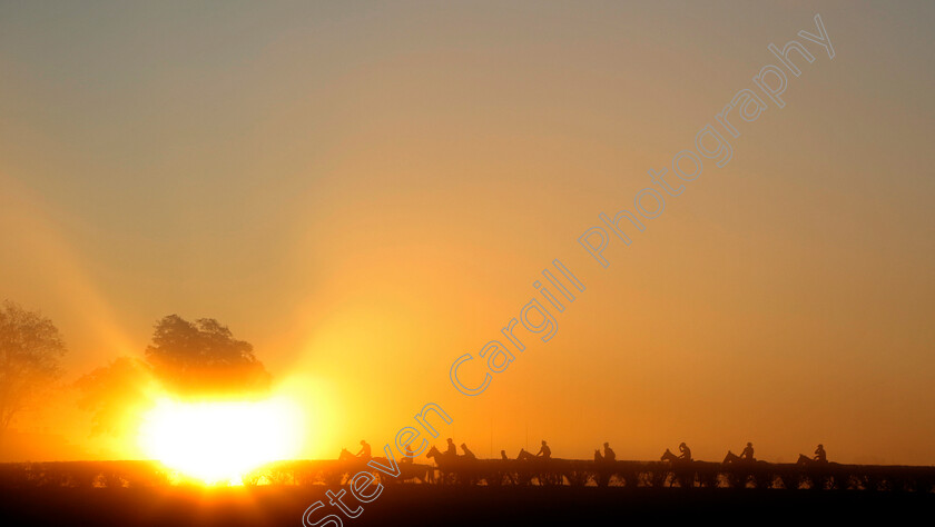 Sunrise-0002 
 Sunrise during training for the Breeders' Cup 
Keeneland USA 3 Nov 2022 - Pic Steven Cargill / Racingfotos.com