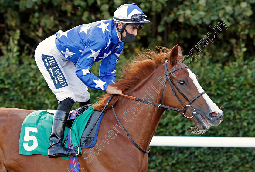 Saramenha-0001 
 SARAMENHA (Martin Harley)
Kempton 18 Aug 2020 - Pic Steven Cargill / Racingfotos.com