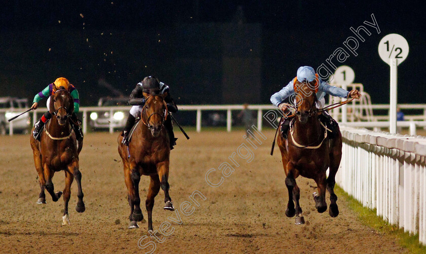 If-You-Dare-0002 
 IF YOU DARE (right, Joe Fanning) beats BILLY MILL (centre) in The tote.co.uk Free Streaming Every UK Race Handicap
Chelmsford 14 Oct 2021 - Pic Steven Cargill / Racingfotos.com