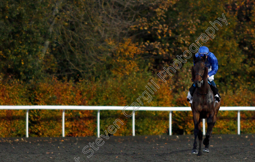 Loxley-0001 
 LOXLEY (William Buick) before winning The Unibet 3 Uniboosts A Day Floodlit Stakes
Kempton 2 Nov 2020 - Pic Steven Cargill / Racingfotos.com