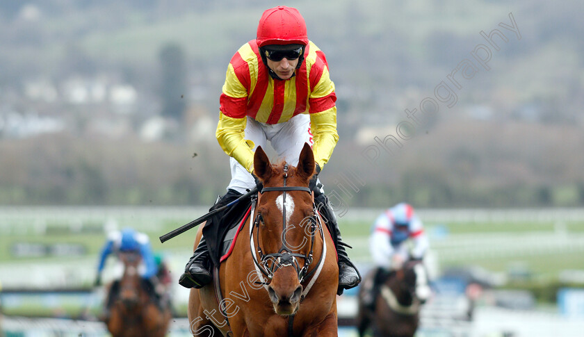 Jarveys-Plate-0009 
 JARVEYS PLATE (Paddy Brennan) wins The Ballymore Novices Hurdle
Cheltenham 1 Jan 2019 - Pic Steven Cargill / Racingfotos.com