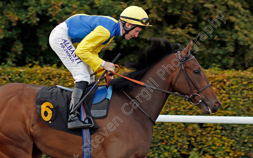 Inlawed-0001 
 INLAWED (Pat Cosgrave) Kempton 4 Oct 2017 - Pic Steven Cargill / Racingfotos.com