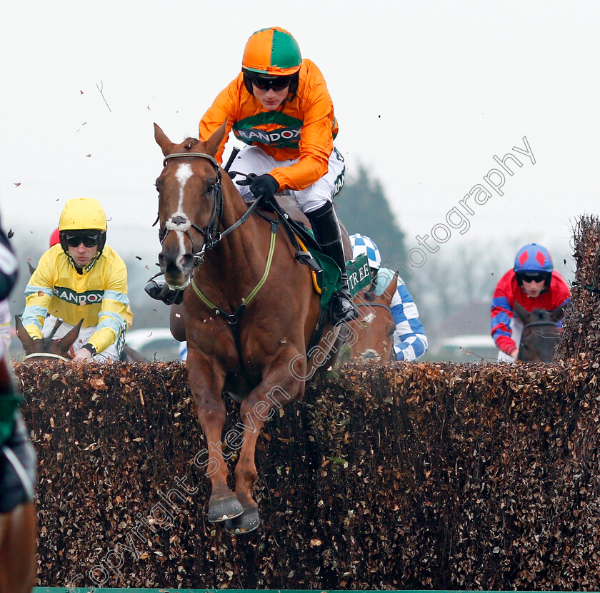 Robinshill-0001 
 ROBINSHILL (Tom Bellamy) Aintree 12 Apr 2018 - Pic Steven Cargill / Racingfotos.com