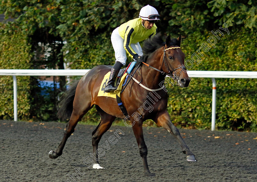 Flying-Fortress-0001 
 FLYING FORTRESS (Silvestre de Sousa)
Kempton 6 Sep 2024 - Pic Steven Cargill / Racingfotos.com