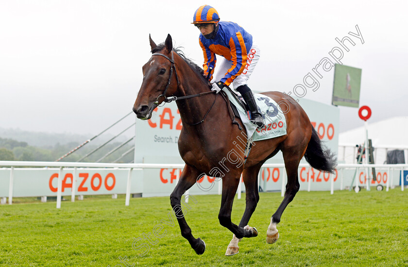 Willow-0001 
 WILLOW (Wayne Lordan)
Epsom 4 Jun 2021 - Pic Steven Cargill / Racingfotos.com